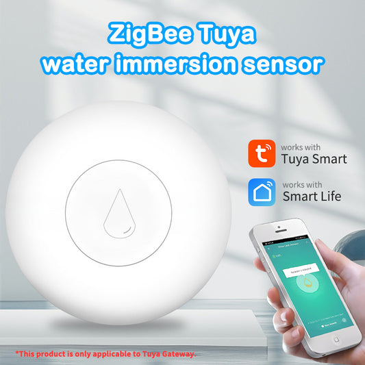 Wireless Water Sensor Zigbee Smart Home Manufacturer FCCID Authentication CE Authentication